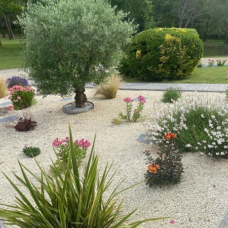 Bed and Breakfast Les Pins Perdus Saint-Ciers-d'Abzac Экстерьер фото