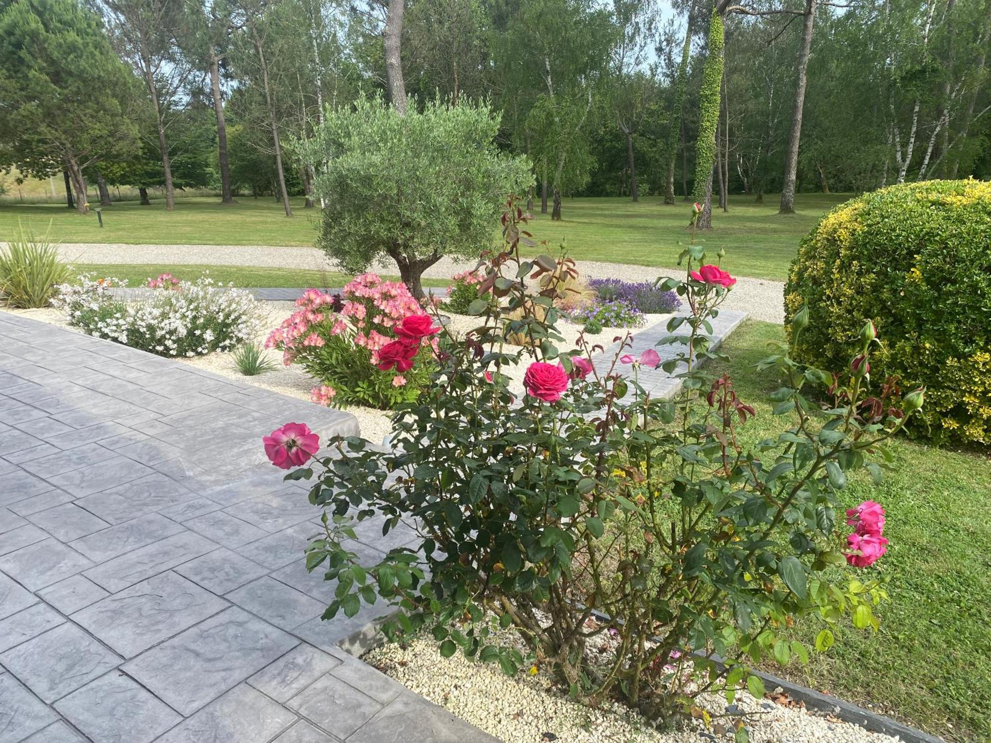 Bed and Breakfast Les Pins Perdus Saint-Ciers-d'Abzac Экстерьер фото